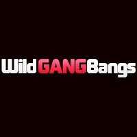 Wild GangBangs