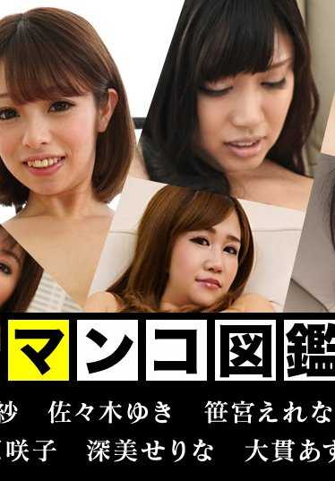 010219-827-CARIB 阴部图解 - 这是加勒比2018年阴部仓库中的精华。