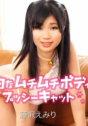 112319-001-CARIB 身体苍白、鞭子噼啪作响的小猫咪。