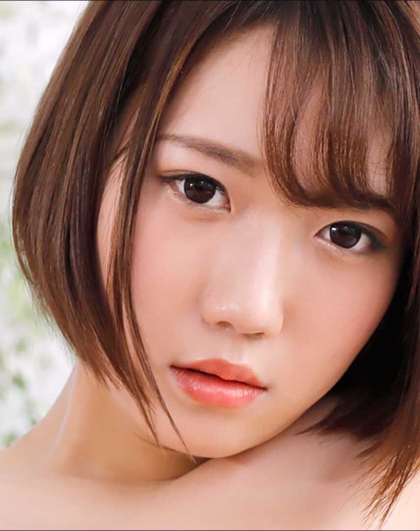 121425-001-1PON 顺从的 菊田三叶