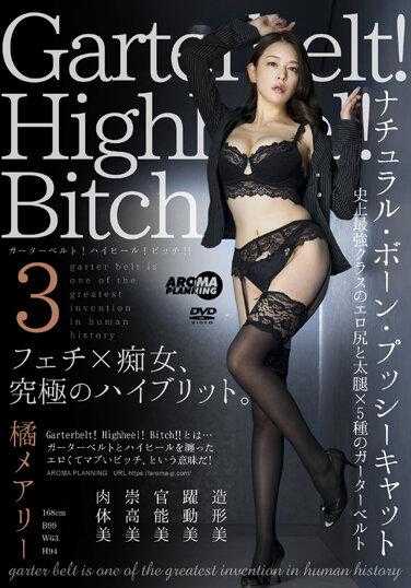 AARM-199 吊袜腰带！高跟鞋！婊子！ ！ 3 立花玛丽 - 橘玛丽