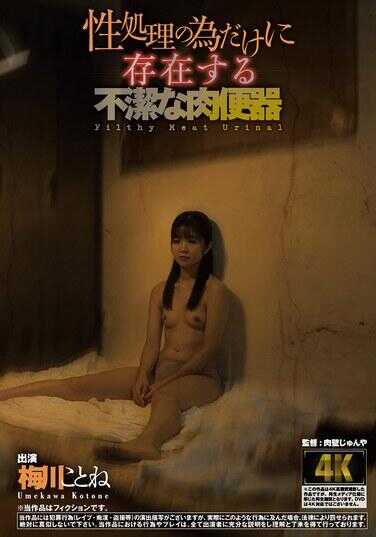 AGAV-124 只为性处理而存在的肮脏肉便器 梅川琴音