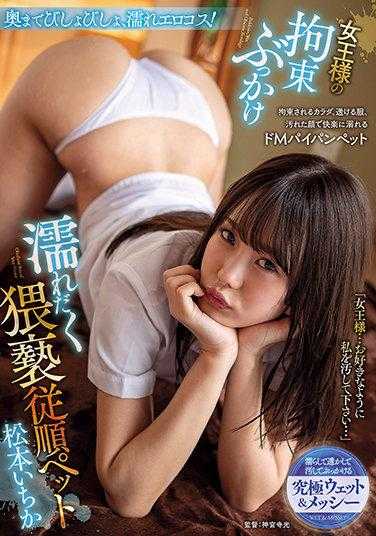 AVSA-195 女王的束缚泼水湿透猥亵顺从宠物 松本一花