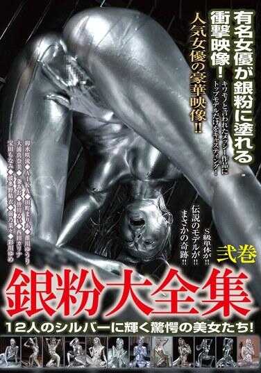 BGG-008 银粉全集第2卷 12位银光闪闪的惊人美女！ - 波多野结衣