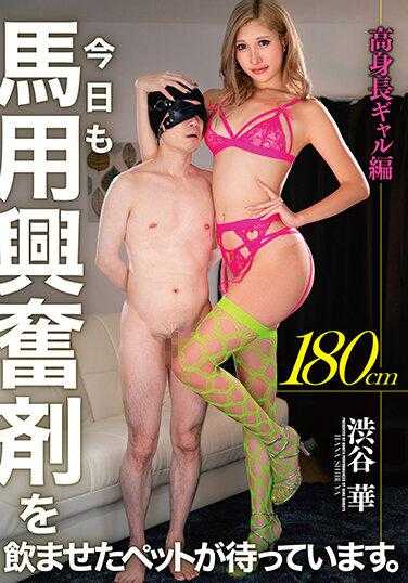 BONY-041 今天也有给马喂兴奋剂的宠物在等着。180cm高个女孩编 涩谷华 内裤和照片附带