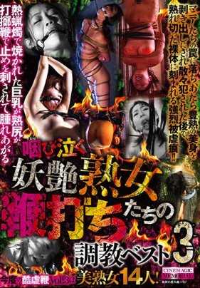 CMA-079 咽泣的妖艳熟女鞭打调教最佳3