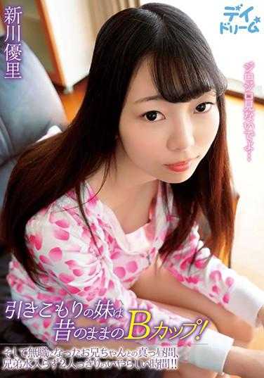 DAYD-022 宅在家里的妹妹还是以前的B罩杯！然后失业的哥哥和她在白天，只有两个人的不伦不类的时光！！ / 新川优里