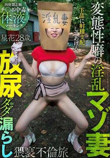 DOTM-013 一个淫荡的受虐狂妻子，有变态倾向，小便和泄漏淫秽的外遇之旅