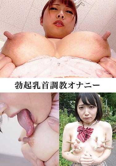 EVIS-334 勃起乳首调教自慰