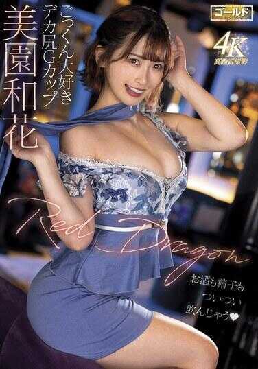 GDRD-035 红龙 美园和花