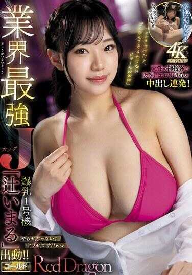 GDRD-038 红龙 辻井丸