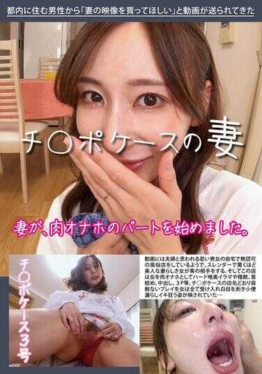 HAWA-357 齐零波克斯的妻子 齐零波克斯3号