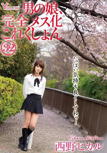 HERY-136 伪娘，完全雌化合集32 西野光