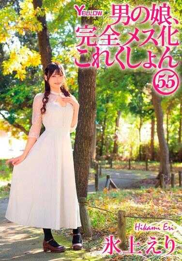 HERY-168 男娘，完全雌化合集55 冰上绘里