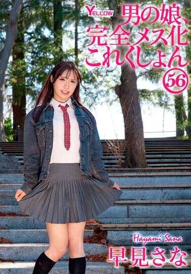 HERY-169 男娘，完全雌化 合集356 早见沙奈