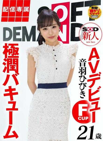 HISN-012 【专属发布】SOD新人AV出道 音羽响(21)极润真空