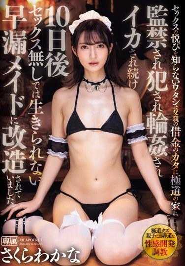 IPZZ-273 不知道性快感的我，因为父亲的债务被极道之家监禁，被强●，被轮●，被持续侵犯10天后，被改造成了没有性就活不下去的早泄女仆。 樱若菜