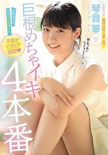 MIDE-901 发育途中的未完成美少女子宫痉挛巨根猛烈高潮4本番 琴音华