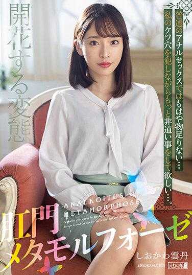 MISM-271 肛门变态盐川海胆 - しおかわ云丹