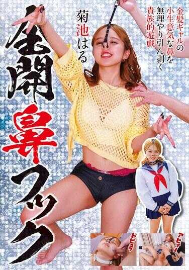 NEO-937 全开鼻钩 菊池晴