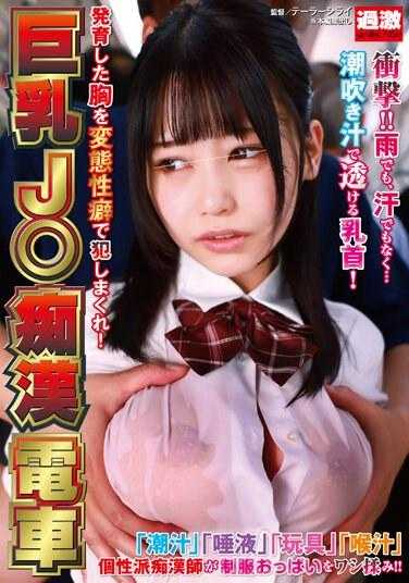 NHDTB-851 巨乳J○痴●电车 发育的胸部被变态性癖疯狂侵犯！