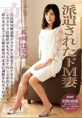 NKD-245 派遣支配者佐川春海