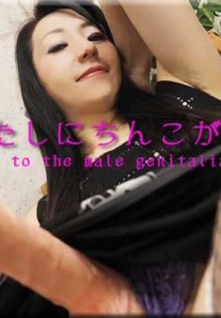 NYOSHIN_N1740 女体的神秘 n1740 凉子 / 如果我长出了阴茎 / B: 85 W: 60 H: 90