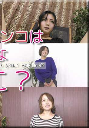 NYOSHIN_N1791 Shinpi 女孩 / 你有什么样的阴部？ / b: 0 w: 0 h: 0