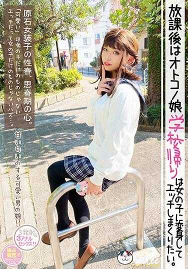 PETS-036 放学后，我想变身为女孩，放学后与女孩发生性关系。