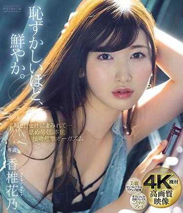 PRED-302 羞耻与汗水与汁液交织…舔舐殆尽本能 接吻痉挛高潮 香椎花乃（蓝光光盘）