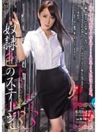 RBD-797 他● 色彩阶段 33：扶月枫。