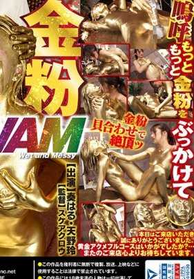 RCTS-005 金粉WAM美容沙龙 名流妻子黄金高潮全套课程 奏春 天野玲