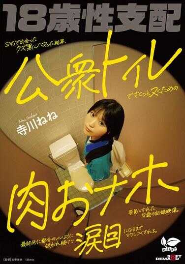 SDAB-341 SNS上遇到的渣男让她沉迷，结果在公共厕所被快速当作泄欲肉便器的18岁记录影像。最终被当作方便的工具持续玩弄，直到阴道变得粗糙如砂为止。 寺田ねね