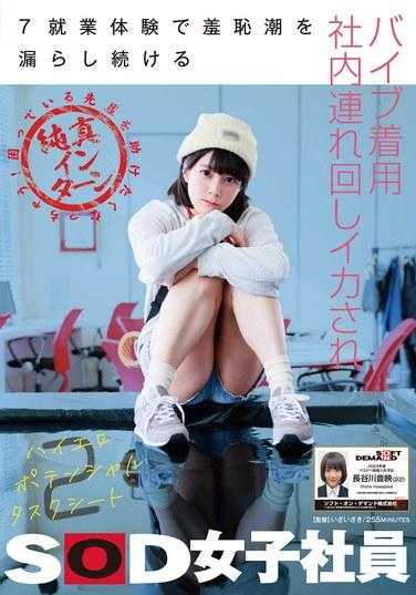 SDJS-262 7在工作期间戴着振动器不断漏出羞耻潮水，在办公室里被抱着，想要帮助陷入困境的前辈的无辜实习生SOD女员工长谷川音（22岁）高色情潜力任务表2 - 长谷川音映