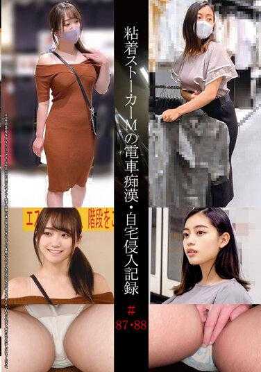 SHIND-049 胶粘剂潜行者M的火车白痴·家暴记录#87·88