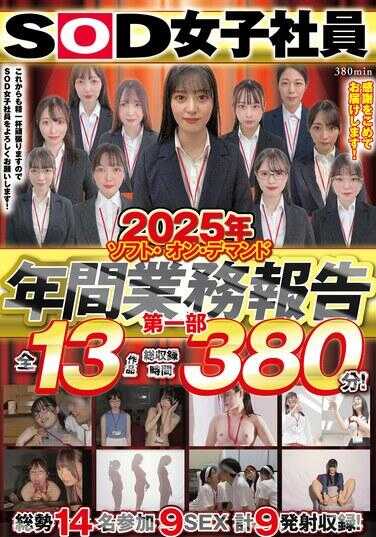 SODS-087 2025年软件按需年度业务报告 第一部分 380分钟