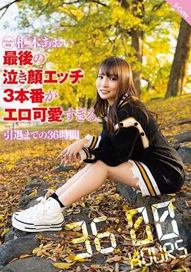 SQTE-536 枢木葵 最后的哭泣脸庞太色情可爱了。退役前的36小时