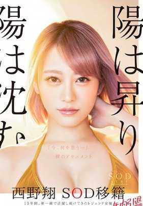 STARS-113 业界老将西野翔的AV引退纪录片