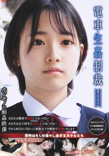 YDNS-002 电车生娼制裁 #002