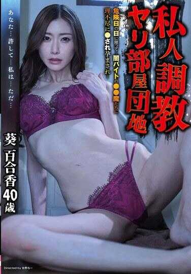 YOCH-023 私人的调查、约炮房间的公寓危险日那天限定……被黑暗兼职的●●魔们肆无忌惮地●并使怀孕……菫百合子40岁