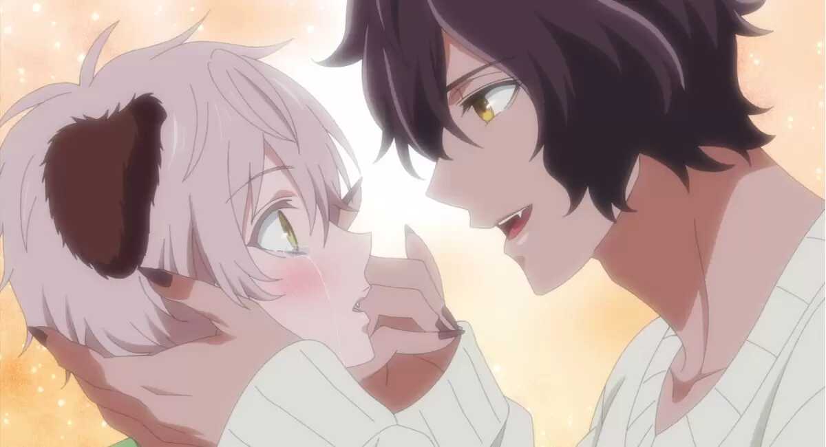 森林里的熊先生，冬眠中 2