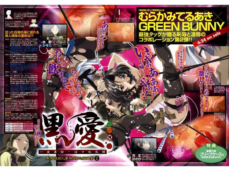 黒爱 ～一夜妻馆・淫口乱录 2