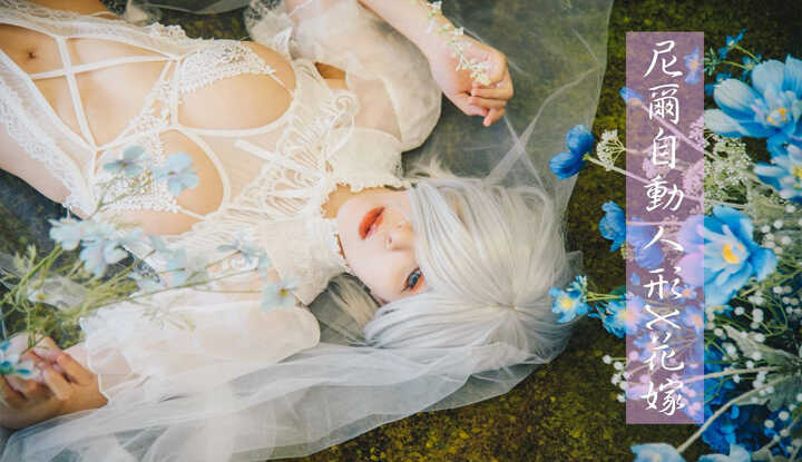 尼尔自动人形花嫁篇