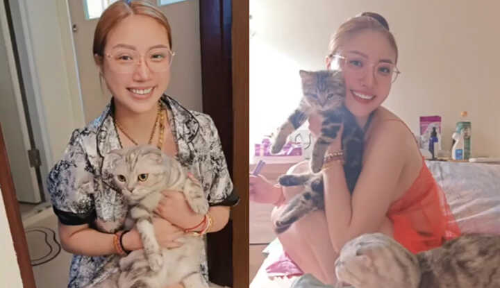 要来蓉蓉家看猫咪吗？