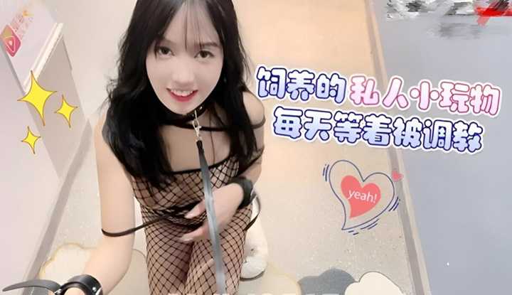 饲养的私人小玩物每天等着被调教