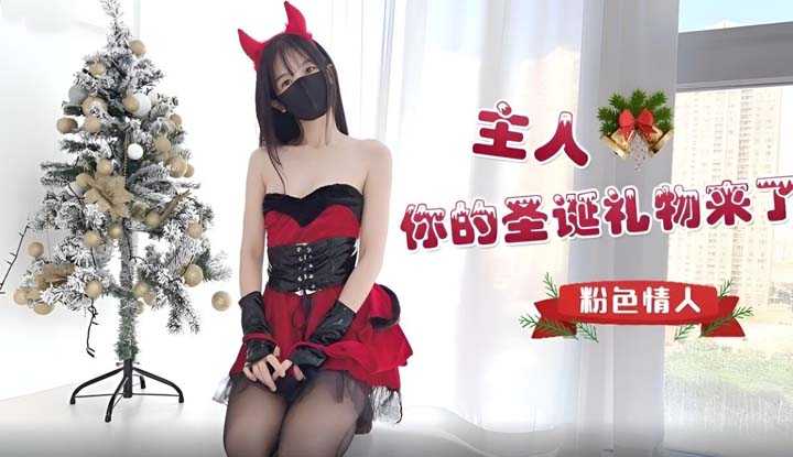 主人你的圣诞礼物来了