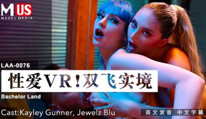 性爱VR双飞实境 (LAA0076)
