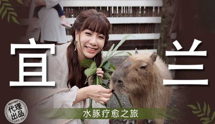 宜兰水豚疗愈之旅  (MM-078)