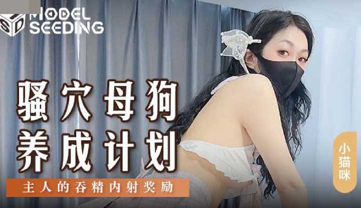 骚穴母狗养成计划，主人的吞精内射奖励 (MSD-152)