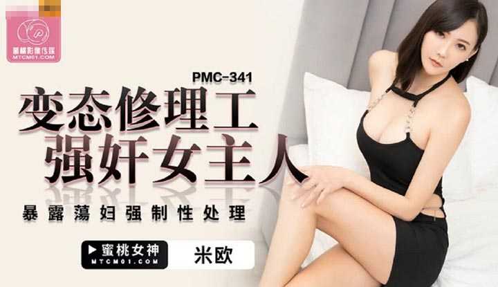 变态修理工强奸女主人 暴露荡妇强制性处理 (PMC-341)